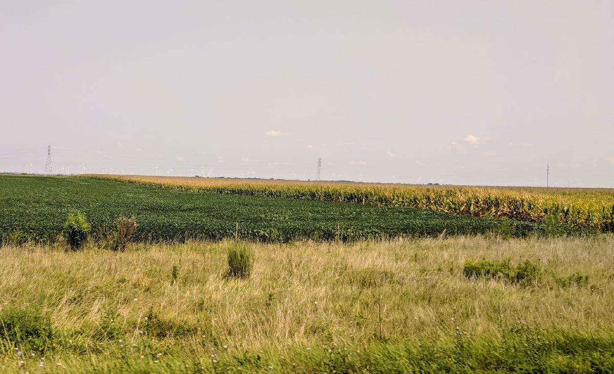 Corn and Soy as far as the eye can see, could be anywhere on the interstates through Ohio, Indiana, Illinois, Iowa